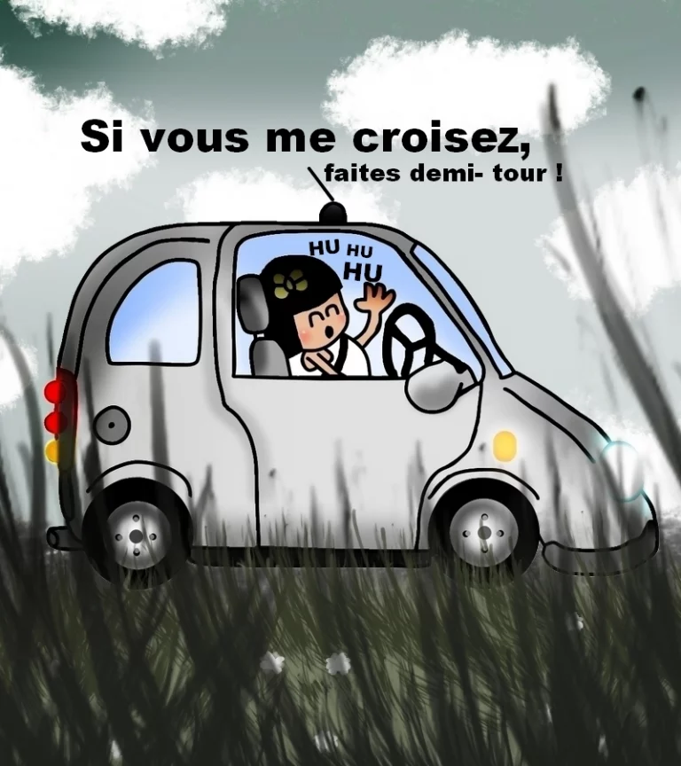 La voiture sans permis : Quel est le permis demandé ?