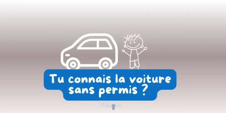 Les voitures sans permis : Avantage ou danger ?