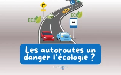Ecologie : impacts et actions des autoroutes
