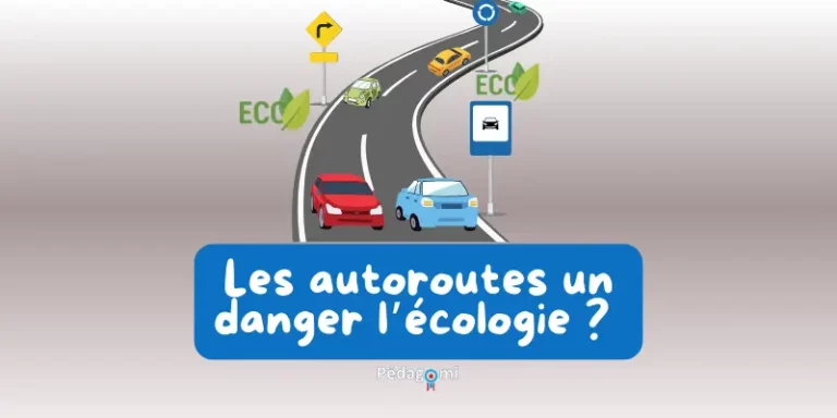 Ecologie : impacts et actions des autoroutes