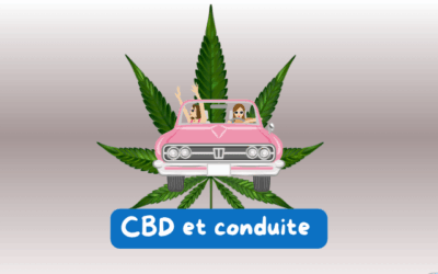 Le CBD et conduite : ce qu’il faut savoir