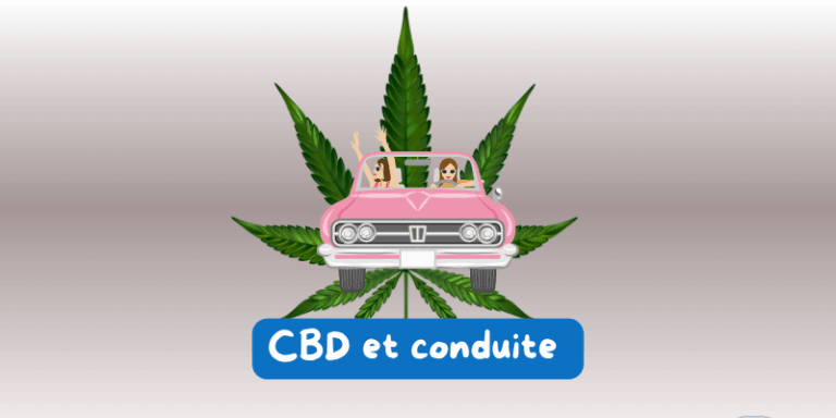Le CBD et conduite : ce qu’il faut savoir