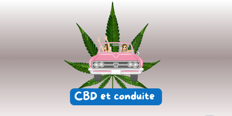 Le CBD et conduite : ce qu’il faut savoir